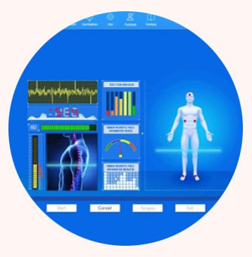 Exame Bioressonancia em Joinville